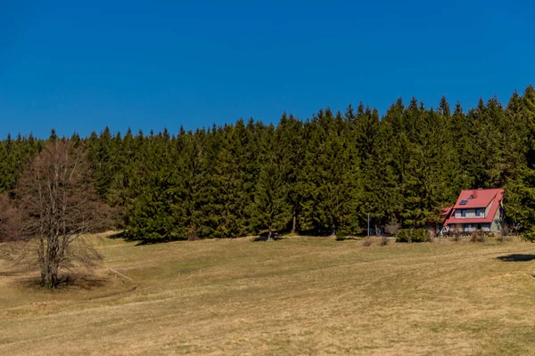 Wandern Verschiedenen Orten Durch Den Thüringer Wald Thringer Wald Deutschland — Stockfoto