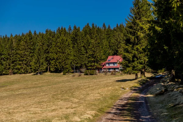 Senderismo Diferentes Lugares Través Del Bosque Turingia Thringer Wald Alemania — Foto de Stock