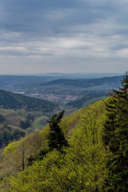 Thringer Wald / Almanya 'da Thringer Ormanı boyunca farklı yerlerde yürüyüş yapmak
