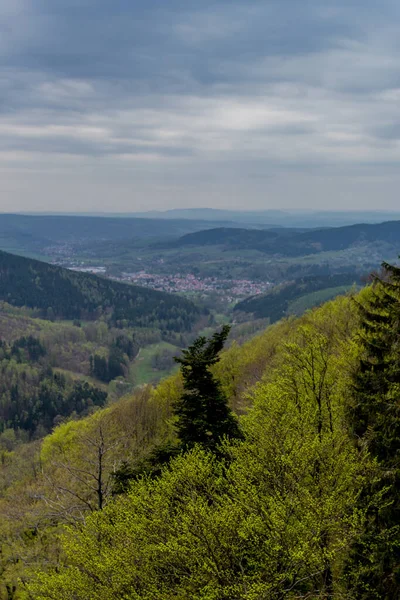 Caminhadas Diferentes Lugares Através Floresta Turíngia Thringer Wald Alemanha — Fotografia de Stock