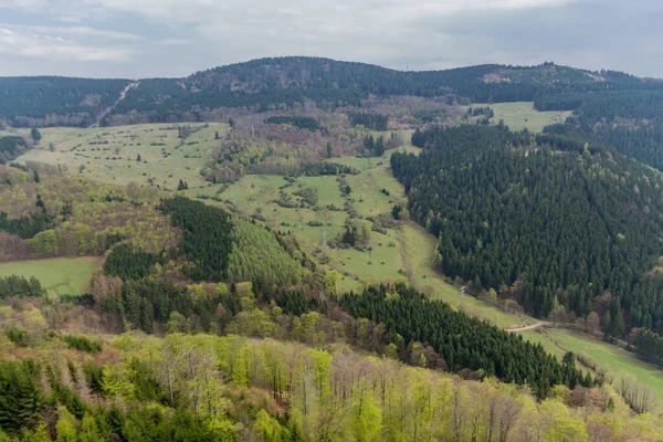 Caminhadas Diferentes Lugares Através Floresta Turíngia Thringer Wald Alemanha — Fotografia de Stock