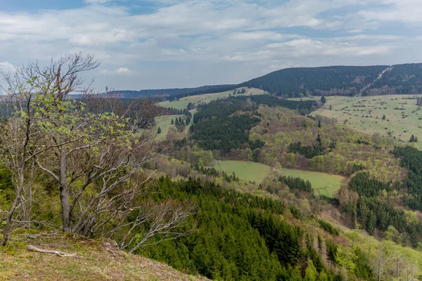 テューリンゲンの森をさまざまな場所でハイキング スリンガー ウォルド ドイツ — ストック写真