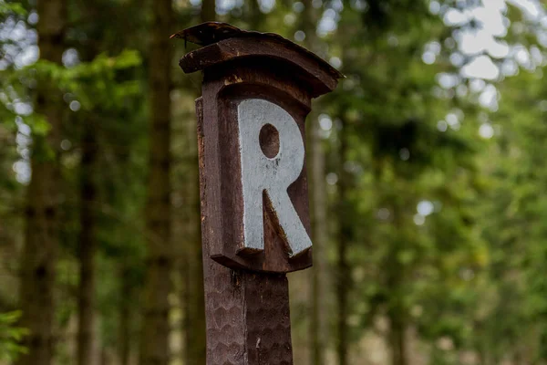 Turystyka Różnych Miejscach Przez Las Turyngii Thringer Wald Niemcy — Zdjęcie stockowe