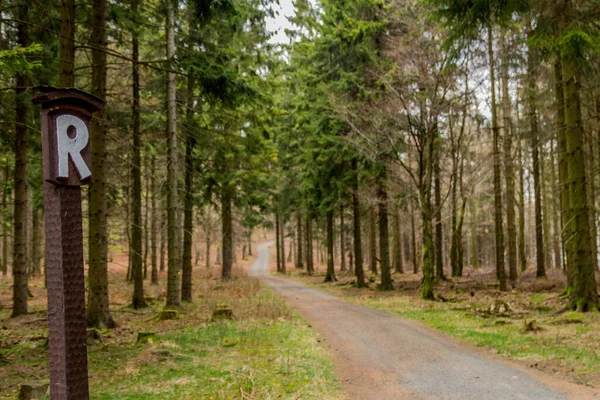 在不同地方穿越图林根森林徒步旅行 德国林格沃尔德 — 图库照片