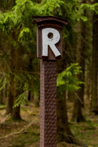 Thringer Wald Almanya Thringer Ormanı Boyunca Farklı Yerlerde Yürüyüş Yapmak — Stok fotoğraf