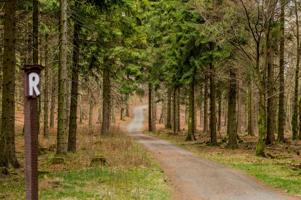 Thringer Wald Almanya Thringer Ormanı Boyunca Farklı Yerlerde Yürüyüş Yapmak — Stok fotoğraf