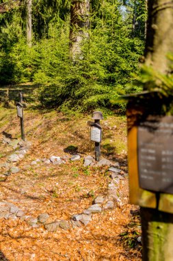 Thringer Wald / Almanya 'da Thringer Ormanı boyunca farklı yerlerde yürüyüş yapmak
