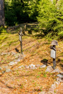 Thringer Wald / Almanya 'da Thringer Ormanı boyunca farklı yerlerde yürüyüş yapmak