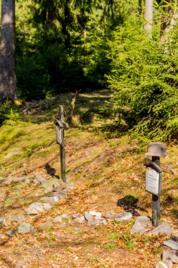 Thringer Wald / Almanya 'da Thringer Ormanı boyunca farklı yerlerde yürüyüş yapmak