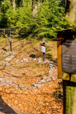 Thringer Wald / Almanya 'da Thringer Ormanı boyunca farklı yerlerde yürüyüş yapmak