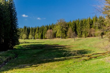 Thringer Wald / Almanya 'da Thringer Ormanı boyunca farklı yerlerde yürüyüş yapmak