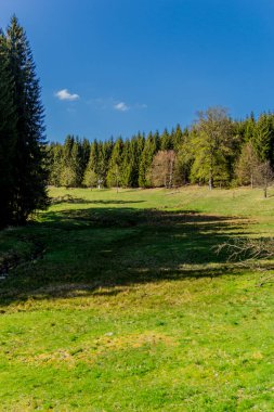 Thringer Wald / Almanya 'da Thringer Ormanı boyunca farklı yerlerde yürüyüş yapmak