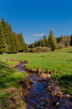 Thringer Wald / Almanya 'da Thringer Ormanı boyunca farklı yerlerde yürüyüş yapmak