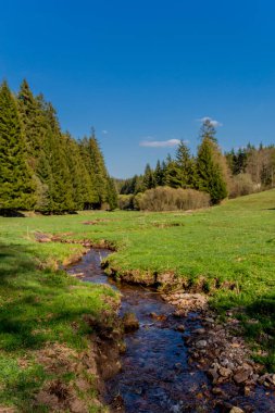 Thringer Wald / Almanya 'da Thringer Ormanı boyunca farklı yerlerde yürüyüş yapmak