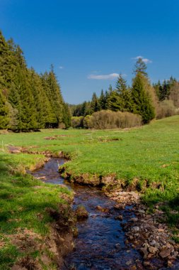 Thringer Wald / Almanya 'da Thringer Ormanı boyunca farklı yerlerde yürüyüş yapmak