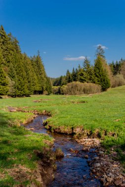 Thringer Wald / Almanya 'da Thringer Ormanı boyunca farklı yerlerde yürüyüş yapmak