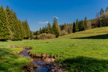 Thringer Wald / Almanya 'da Thringer Ormanı boyunca farklı yerlerde yürüyüş yapmak