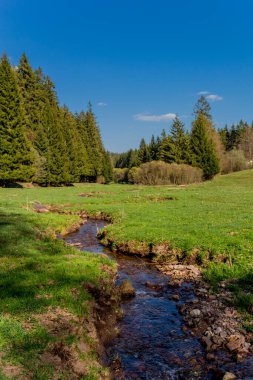 Thringer Wald / Almanya 'da Thringer Ormanı boyunca farklı yerlerde yürüyüş yapmak