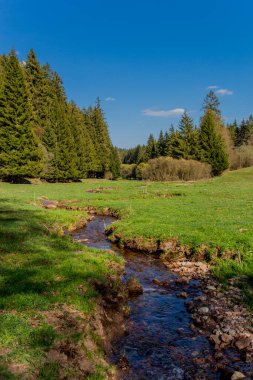 Thringer Wald / Almanya 'da Thringer Ormanı boyunca farklı yerlerde yürüyüş yapmak
