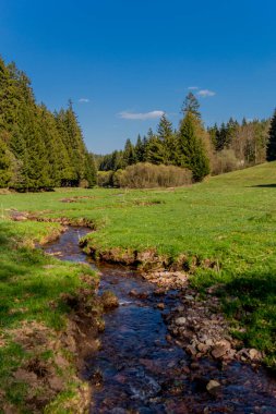 Thringer Wald / Almanya 'da Thringer Ormanı boyunca farklı yerlerde yürüyüş yapmak