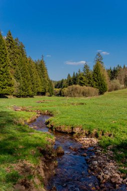 Thringer Wald / Almanya 'da Thringer Ormanı boyunca farklı yerlerde yürüyüş yapmak