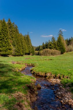 Thringer Wald / Almanya 'da Thringer Ormanı boyunca farklı yerlerde yürüyüş yapmak