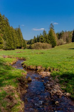 Thringer Wald / Almanya 'da Thringer Ormanı boyunca farklı yerlerde yürüyüş yapmak