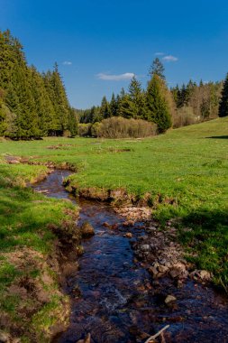 Thringer Wald / Almanya 'da Thringer Ormanı boyunca farklı yerlerde yürüyüş yapmak
