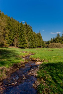 Thringer Wald / Almanya 'da Thringer Ormanı boyunca farklı yerlerde yürüyüş yapmak