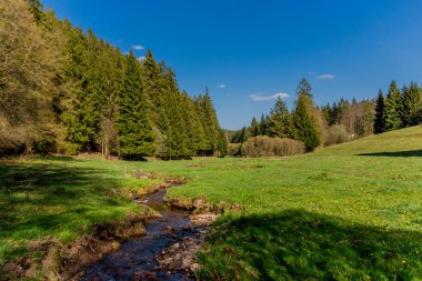 Thringer Wald / Almanya 'da Thringer Ormanı boyunca farklı yerlerde yürüyüş yapmak