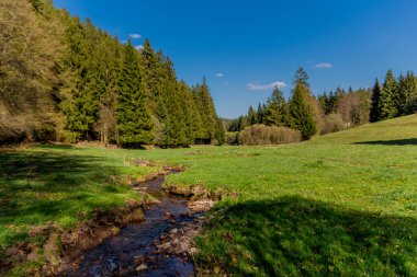 Thringer Wald / Almanya 'da Thringer Ormanı boyunca farklı yerlerde yürüyüş yapmak