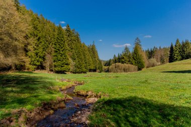 Thringer Wald / Almanya 'da Thringer Ormanı boyunca farklı yerlerde yürüyüş yapmak