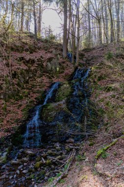 Thringer Wald / Almanya 'da Thringer Ormanı boyunca farklı yerlerde yürüyüş yapmak