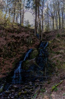 Thringer Wald / Almanya 'da Thringer Ormanı boyunca farklı yerlerde yürüyüş yapmak