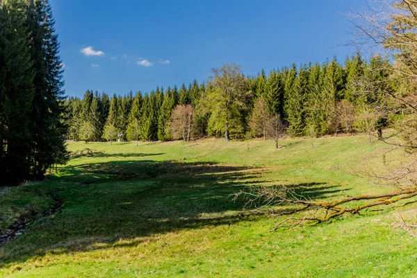 Turistika Durynském Lese Různých Místech Thringer Wald Německo — Stock fotografie