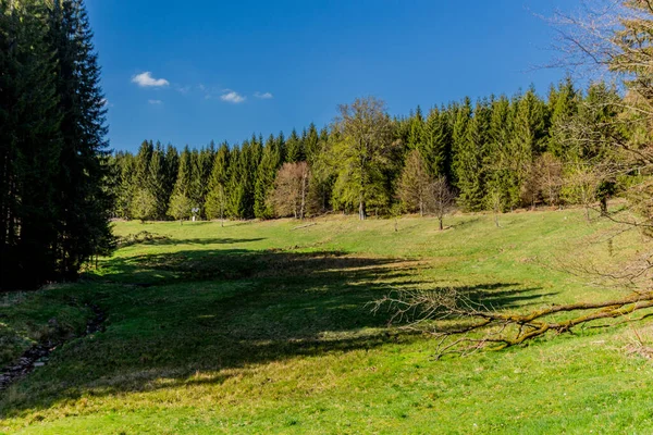 Turystyka Różnych Miejscach Przez Las Turyngii Thringer Wald Niemcy — Zdjęcie stockowe