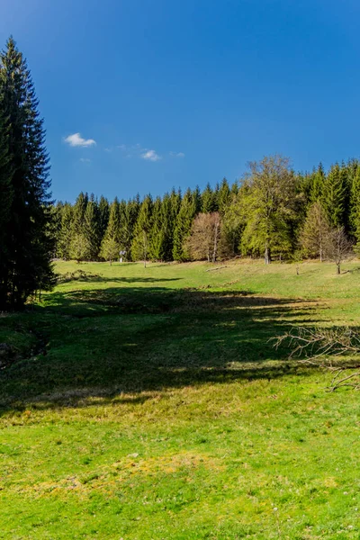 Turistika Durynském Lese Různých Místech Thringer Wald Německo — Stock fotografie