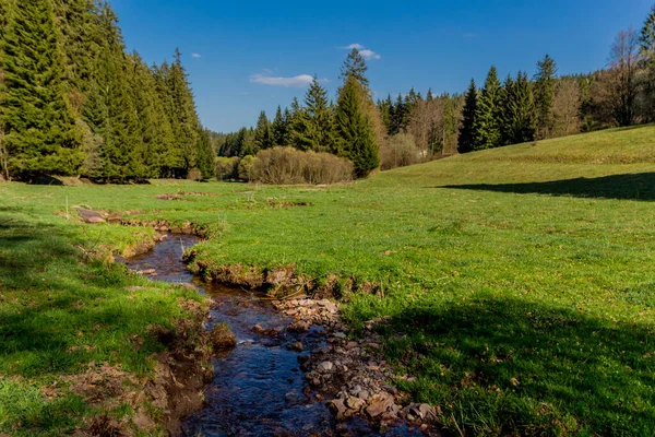 Turystyka Różnych Miejscach Przez Las Turyngii Thringer Wald Niemcy — Zdjęcie stockowe