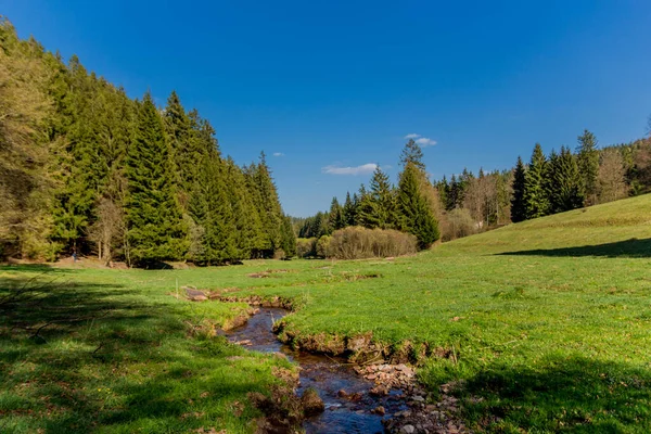 Turystyka Różnych Miejscach Przez Las Turyngii Thringer Wald Niemcy — Zdjęcie stockowe