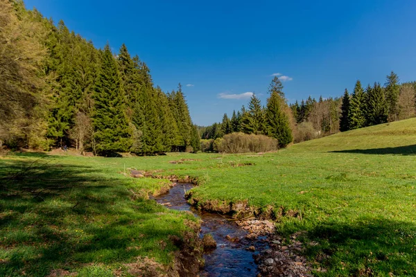 Hiking Different Places Thuringian Forest Thringer Wald Germany — Stock Photo, Image