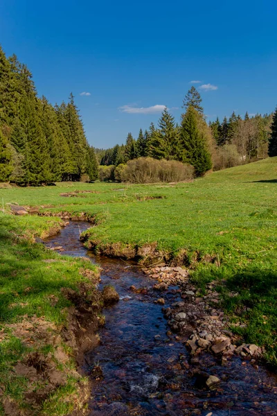 Thringer Wald / Almanya 'da Thringer Ormanı boyunca farklı yerlerde yürüyüş yapmak