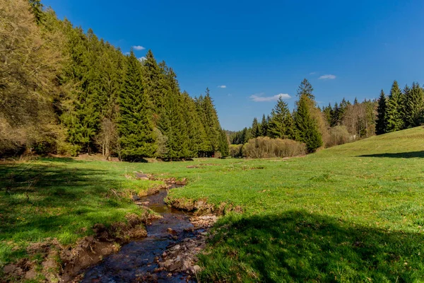 Thringer Wald Almanya Thringer Ormanı Boyunca Farklı Yerlerde Yürüyüş Yapmak — Stok fotoğraf