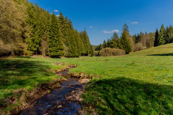 Turystyka Różnych Miejscach Przez Las Turyngii Thringer Wald Niemcy — Zdjęcie stockowe