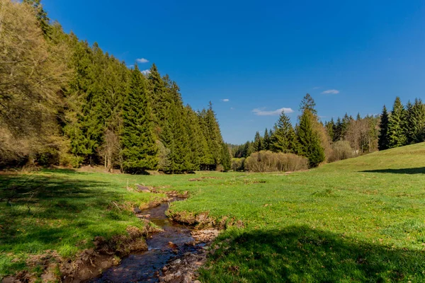 Turystyka Różnych Miejscach Przez Las Turyngii Thringer Wald Niemcy — Zdjęcie stockowe