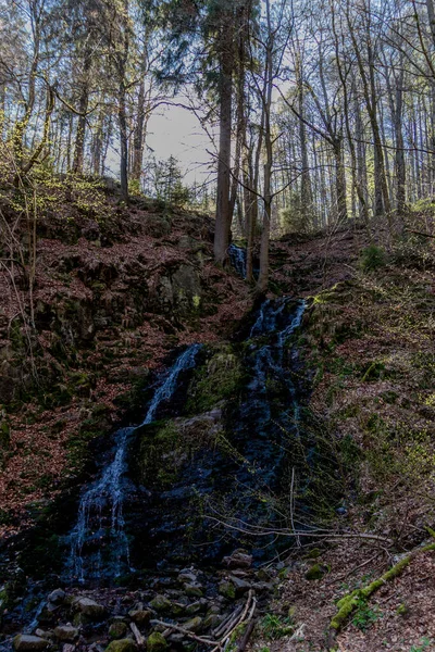 튀링겐 삼림을 곳에서 하이킹 Thringer Wald Germany — 스톡 사진