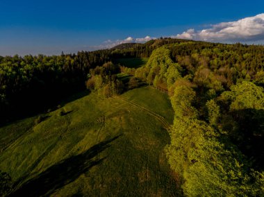 Dağları ve çayırları ile güzel Thüringen Ormanı - Floh-Seligenthal / Almanya