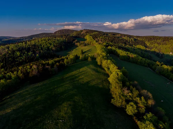 Schöner Thüringer Wald Mit Bergen Und Wiesen Floh Seligenthal — Stockfoto