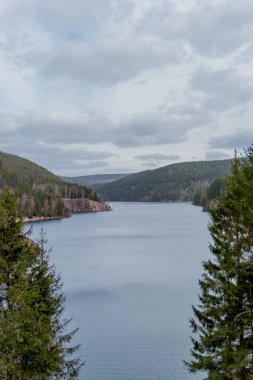 Oberhof 'tan Ohra barajına yürüyün - Oberhof / Almanya