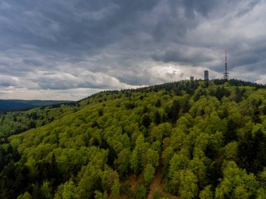 Inselsberg 'in etrafında güneşli bir günde bahar yürüyüşü - Thüringen / Almanya
