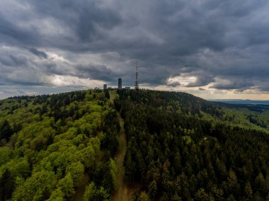 Inselsberg 'in etrafında güneşli bir günde bahar yürüyüşü - Thüringen / Almanya